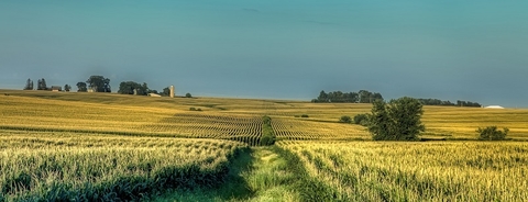 Iowa farm Iowa farm