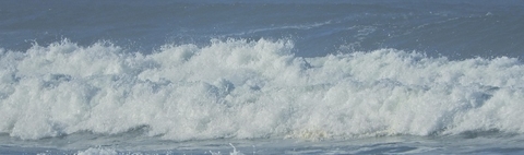 wave wave