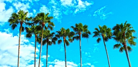 Florida Florida