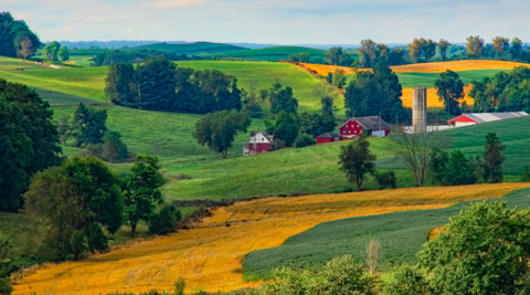 rural rural