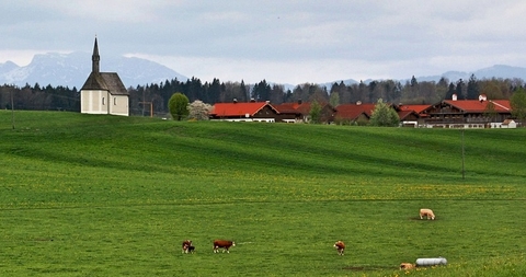 residential residential