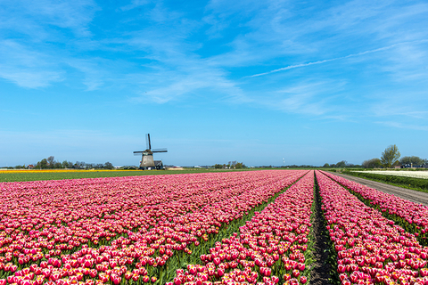 The Netherlands The Netherlands