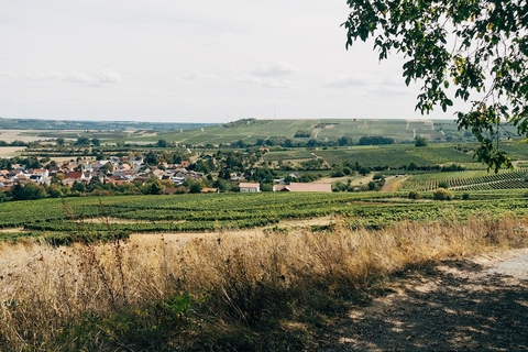 rural rural