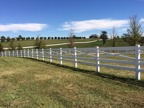 Kentucky Kentucky