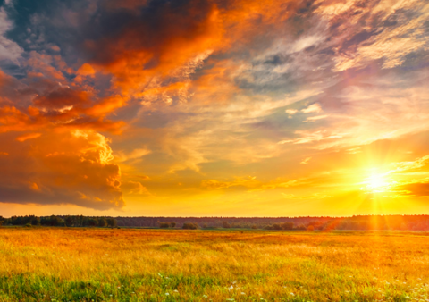 sunset sunset