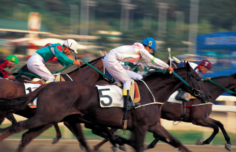 horse race horse race