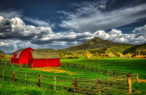 rural rural