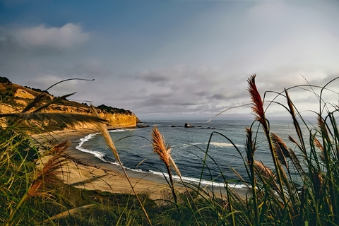 California California