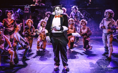 Chris Sealy Calls Forth Emotional Power Of Cats With CHAUVET Professional