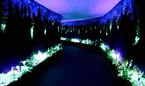 MX Événement and CHAUVET DJ Help Design Aglaé Create Magic For Euro Disney