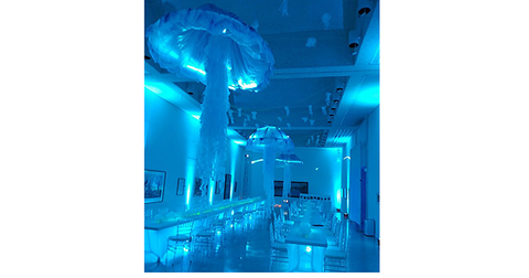 EI JELLY2-canvas.jpg