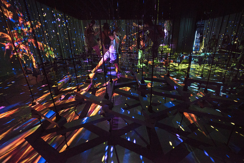 MORI_Aerial Climbing through a Flock of Colored Birds.jpg
