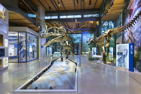 Nat_Hist_Museum_09lowres.jpg