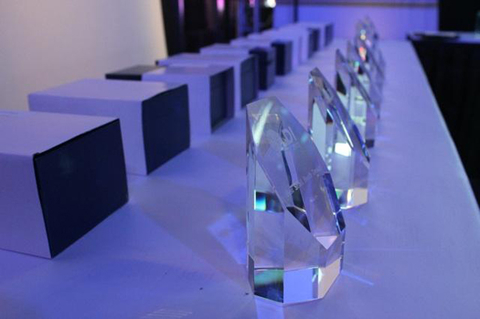 ldiawards.jpg ldiawards