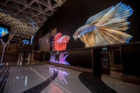 obscura-mgm-cotai-fish.jpg