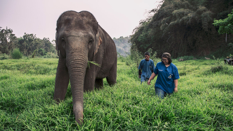 Anantara Golden Triangle Elephant Camp & Resort Anantara Golden Triangle Elephant Camp & Resort
