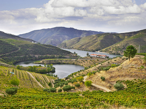 Douro River Credit Acnakelsy iStock Getty Images Plus Getty Images Douro River