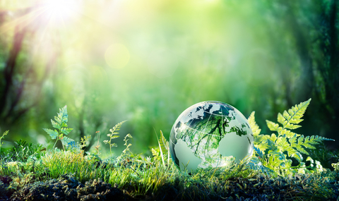sustainable development goals sustainable development goals