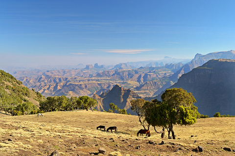 Ethiopia Getty Ethiopia