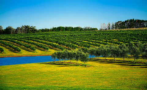 Uruguay Pixabay Uruguay