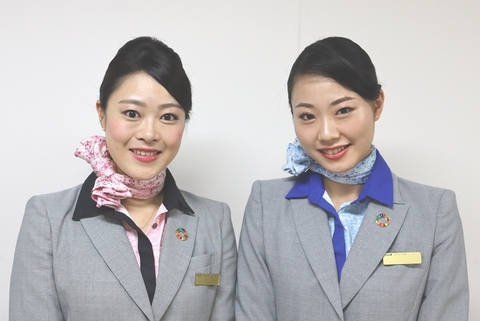 All Nippon Airways - Sustainable Development Goals Pin All Nippon Airways - Sustainable Development Goals Pin