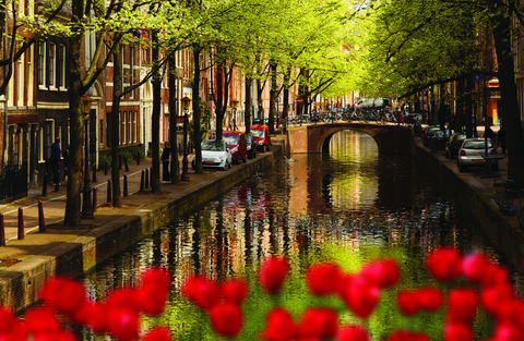 Chelsea Flower Show Insight Vacations Editorial Chelsea Flower Show