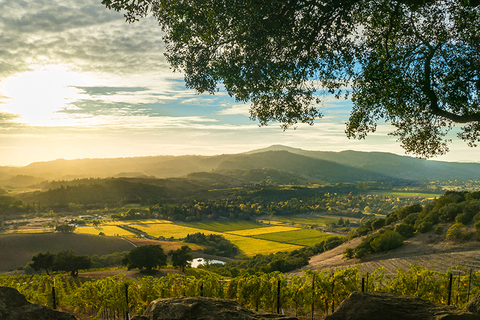 Sonoma Valley Sonoma Valley