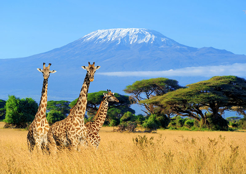 Mount Kilimanjaro Mount Kilimanjaro