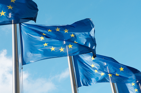 European Union flag European Union flag