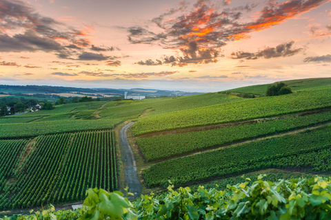 Champagne France Getty Champagne Vineyards at sunset Montagne de Reims, France