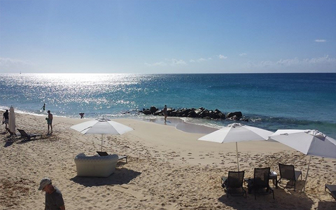 Anguilla Anguilla