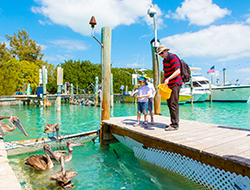 Florida Family 2018 Focus Series Florida Family 2018 Focus Series