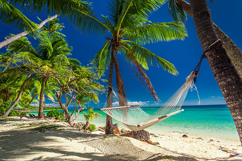 Fiji Getty Empty hammock in the shade of palm trees on tropical Fiji Islands