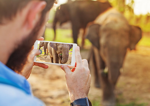 man taking a photo of an elephant // Photo by LiudmylaSupynska/iStock/Getty Images Plus/Getty Images man taking a photo of an elephant