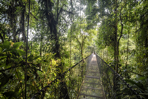 Panama Panama