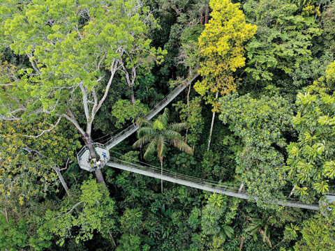 Guyana Guyana