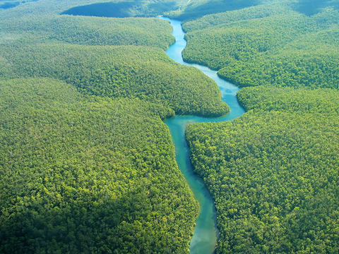 Amazon River Getty Aerial view of the Amazon River