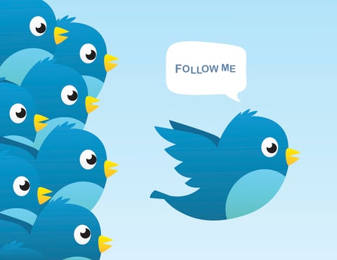Following on Twitter Illustration of blue Twitter bird saying "follow me" with a bunch of other Twitter birds behind it