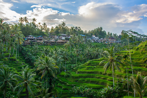 Ubud Bali Ubud Bali