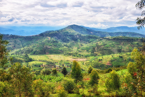 Nyungwe National Park, Rwanda Nyungwe National Park, Rwanda