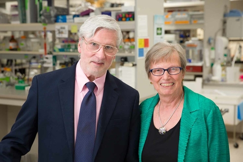Mayo Clinic scientists develop new combination therapy for advanced cancers