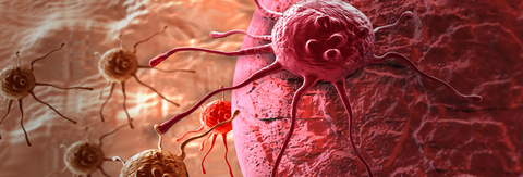 Cancer cells