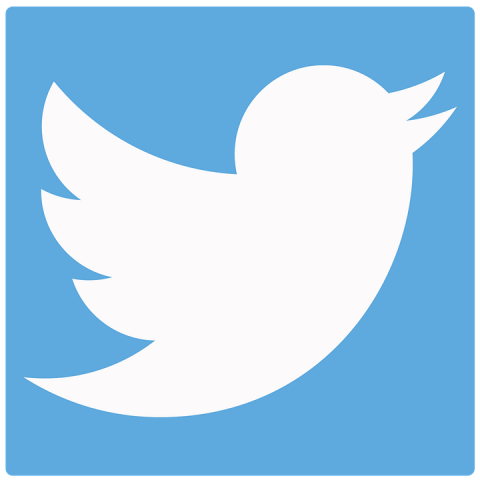 Twitter bird Twitter bird