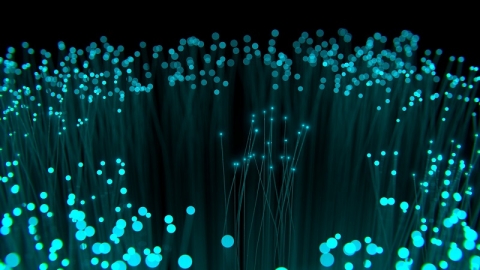 fiber dark fiber