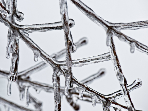 IceWinterFrozen ice winter freeze