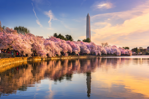 Washington DC Monument The property will open March 14, 2017, and will be owned and managed by Stonebridge Companies of Denver, Colo.