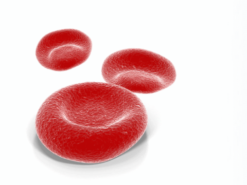 Red blood cells Red blood cells