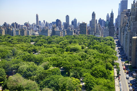 Central Park New York City - Lady-Photo/iStock/Getty Images Plus/Getty Images Central Park New York City - Lady-Photo/iStock/Getty Images Plus/Getty Images