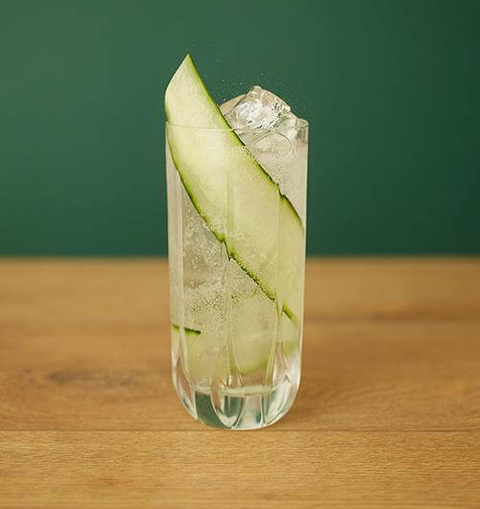 Seedlip Garden & Elderflower Tonic - 12 Mocktail Recipes for Dry January