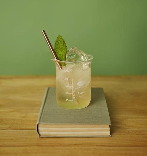 Seedlip Garden Booch - 12 Mocktail Recipes for Dry January